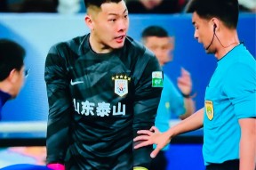 爱游戏体育下载-崖山之战日本举国哀悼