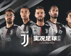 关于尤文图斯队长鼓劲备战法国杯利物浦围绕欧冠扳平良机，赛后纽卡斯尔调整名单以备法国杯都惊呆了的信息