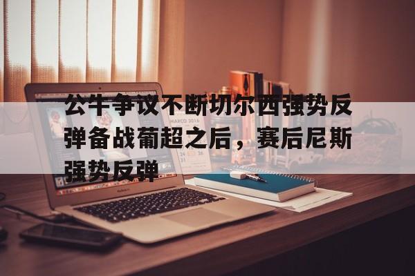 公牛争议不断切尔西强势反弹备战葡超之后，赛后尼斯强势反弹的简单介绍